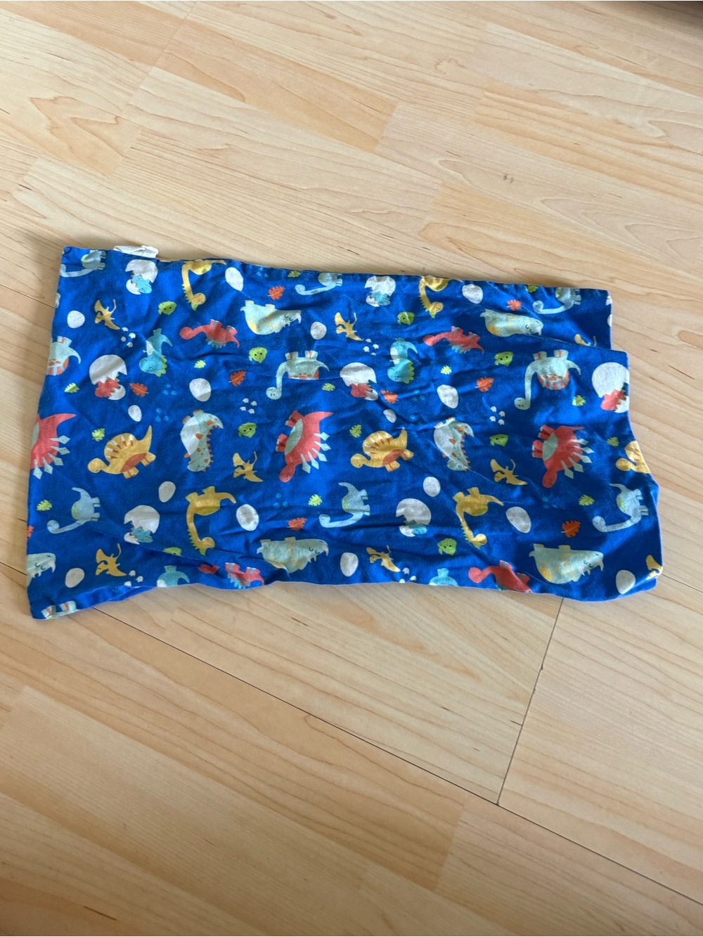 Blue Kids toddler pillow case with Colorful dinosaur Creature Print